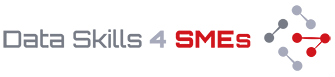 DataSkills4SMEs Logo